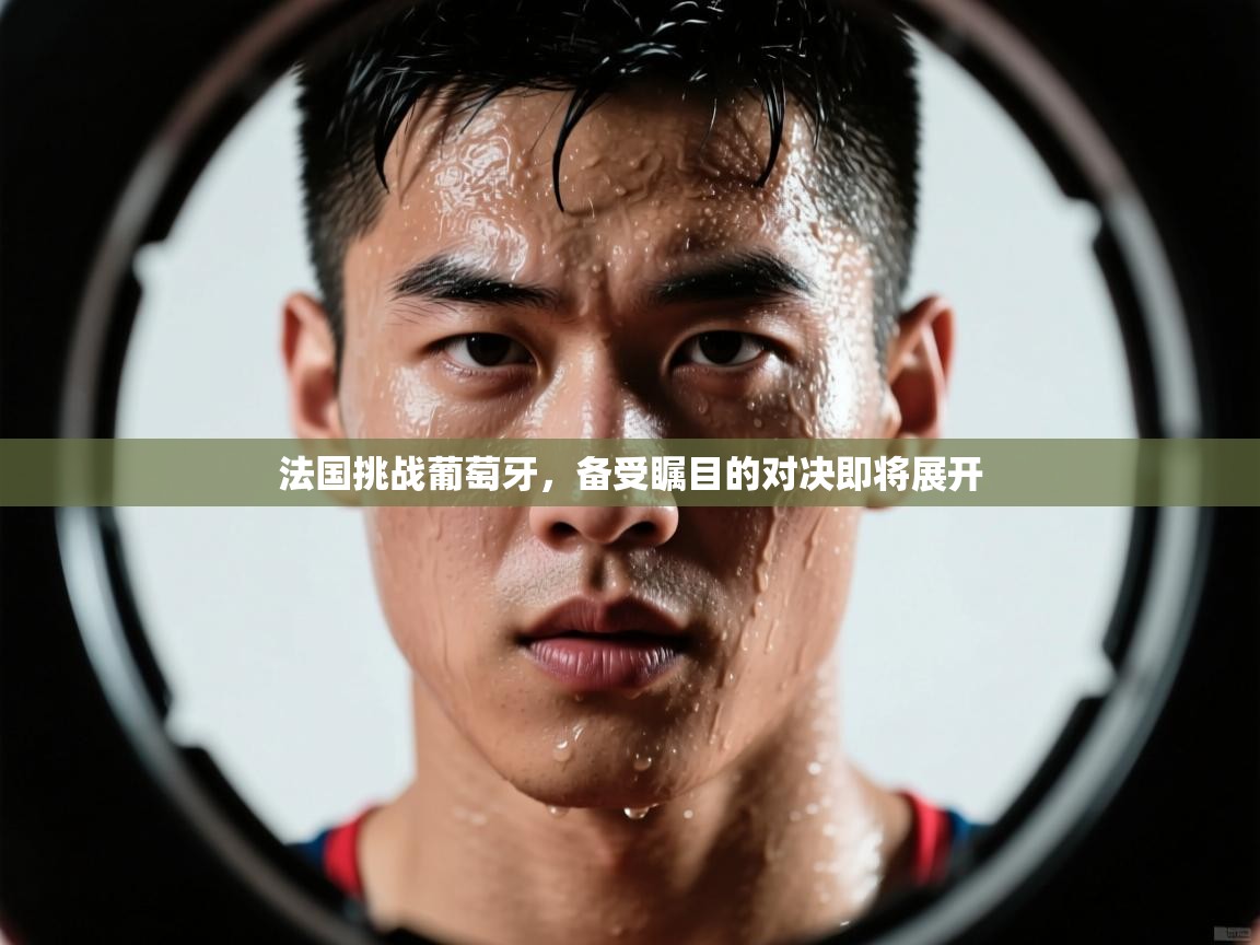 法国挑战葡萄牙,备受瞩目的对决即将展开 第2张