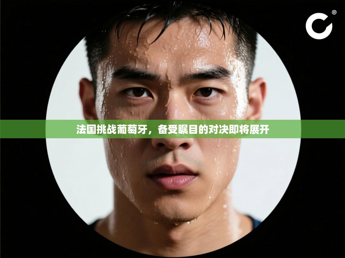 法国挑战葡萄牙,备受瞩目的对决即将展开 第1张