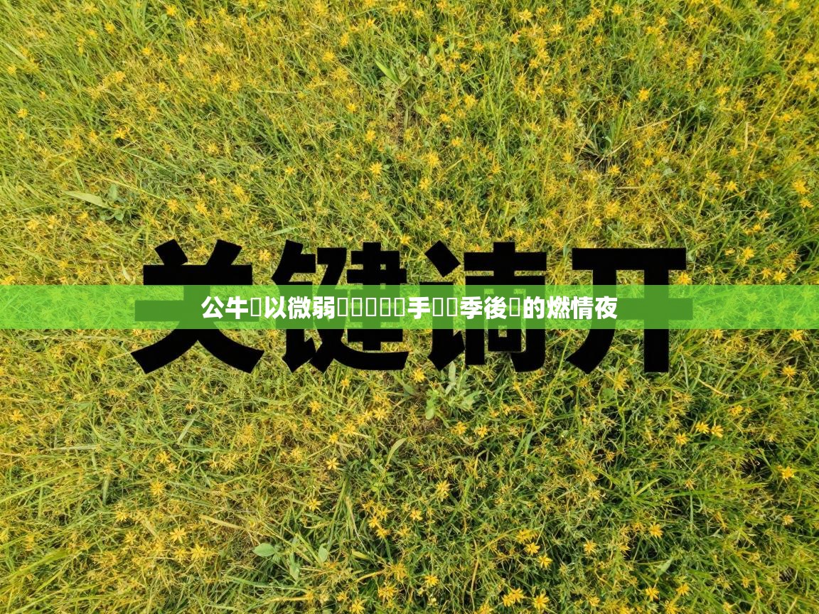 公牛隊以微弱優勢擊敗對手進軍季後賽的燃情夜  第2张